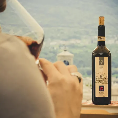 Alexis House Varenna